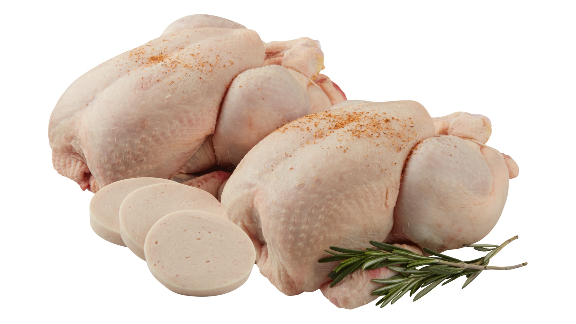 Main Banner Image 1